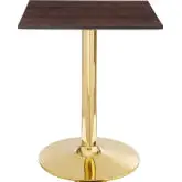 Verne 24" Square Dining Table in Cherry Walnut Finish & Chrome Gold