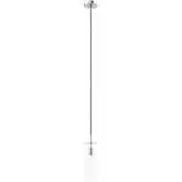 Skylark Pendant Light in Polished Nickel Iron & Clear Glass