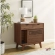 Render Cat Cabinet in Walnut Finish Wood