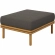 Wren Outdoor Accent Arm Chair & Ottoman Set in Flint Gray Fabric & Teak