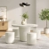Brion Indoor Outdoor 5 Piece Dining Set in White Concrete