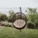 Encase Swing Outdoor Lounge Chair in Poly Rattan with Beige Cushion