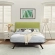 Tracy Queen Bed in Cappuccino with Green Fabric Headboard