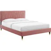 Phillipa Queen Platform Bed in Rose Velvet with Gold Capped Wood Legs