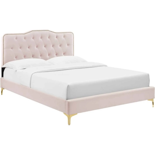 Amber Full Platform Bed in Tufted Pink Velvet & Gold