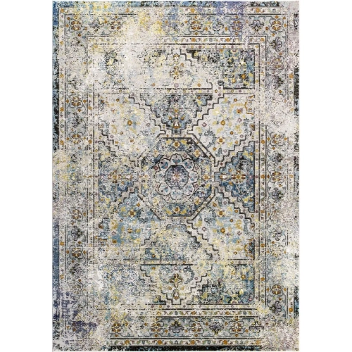 Success Jacinda Distressed Vintage Floral Persian Medallion 4 x 6 Area Rug