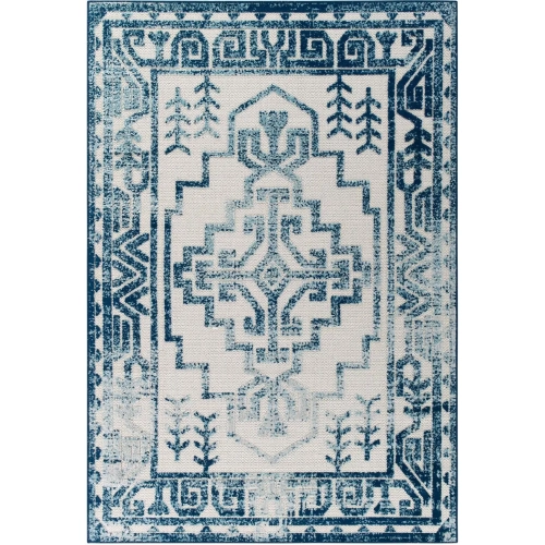 Reflect Nyssa Distressed Southwestern Indoor Outdoor 5 x 8 Area Rug