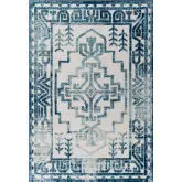 Reflect Nyssa Distressed Southwestern Indoor Outdoor 5 x 8 Area Rug