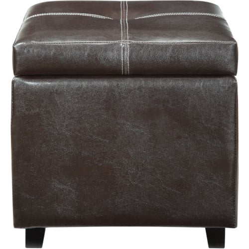 Treasure Ottoman in Espresso