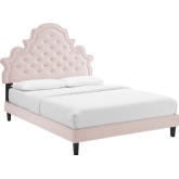 Gwyneth Queen Platform Bed in Tufted Pink Velvet w/ Black Wood Legs