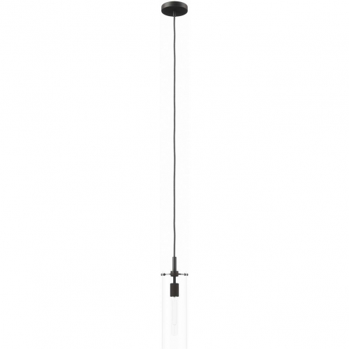 Skylark Pendant Light in Black Iron & Clear Glass