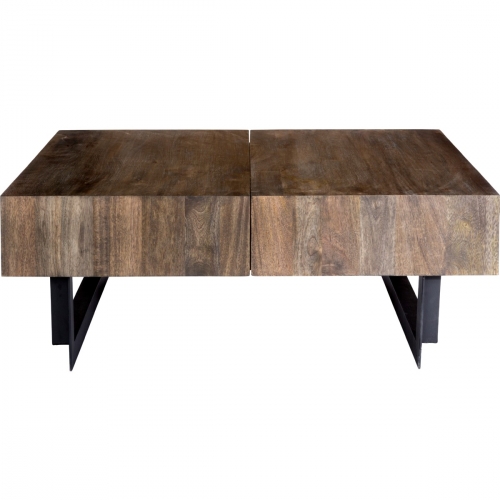 Tiburon Storage Coffee Table in Solid Mango Wood & Iron