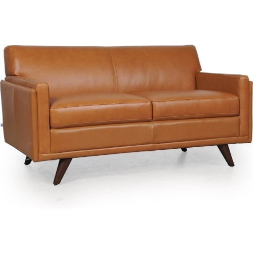 Milo Loveseat in Tan Leather