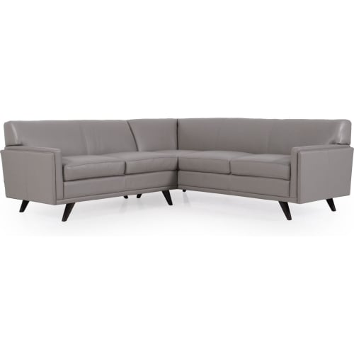 Milo 2 Piece Sectional Sofa in Argent Leather