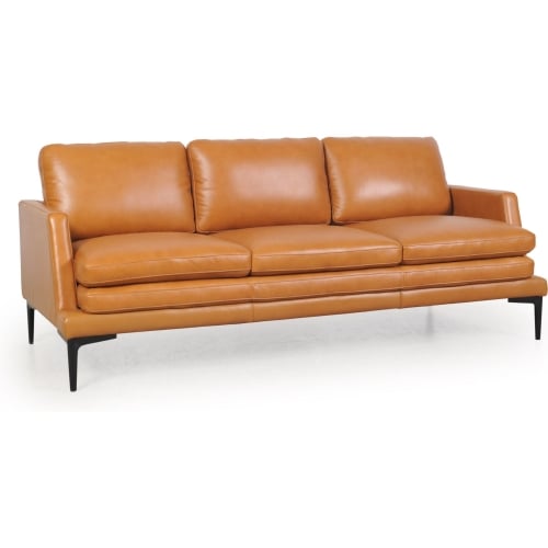 Rica Sofa in Tan Leather