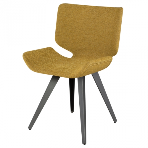 Astra Dining Chair in Palm Springs Fabric on Titanium Steel