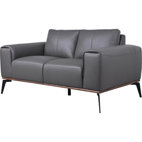 Pietro Loveseat in Charcoal Gray Top Grain Leather & Black Metal