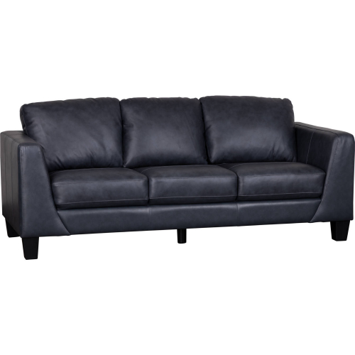 Lucca Sofa in Gray Top Grain Leather