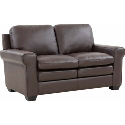 Parma Loveseat in Brown Top Grain Leather