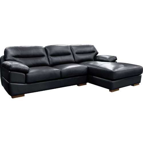 Jayson Sectional Sofa w/ Right Facing Chaise in Black Top Grain Leather