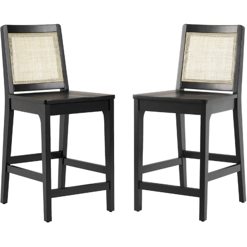 Catalina Counter Stool in Black Finish Wood & Rattan (Set of 2)