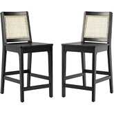 Catalina Counter Stool in Black Finish Wood & Rattan (Set of 2)