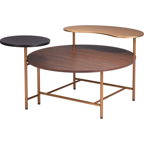 Viken Coffee Table in Multicolor MDF & Gold Finish Steel